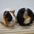 ＫＢＣペットワールド専門学校 動物のプロを目指そう！動物ふれあいスペシャル☆3