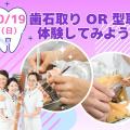 東京医学技術専門学校 【歯科衛生士/1時間】夜間で柔軟な学び方ができる！