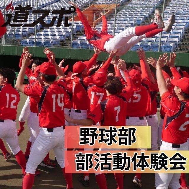 北海道スポーツ専門学校 大好評！【野球部】部活動体験会1