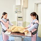 レントゲンってどう撮るの？の詳細