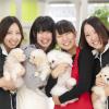 高崎動物専門学校 【ペットショップ・飼育】「犬の見分け」について学ぼう！