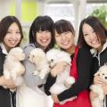 高崎動物専門学校 【ペットショップ・飼育】仔犬大集合！遺伝について学ぼう！