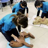 動物看護師のお仕事～応急処置をマスターしてみよう！～の詳細