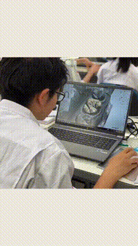 OCカメラサムネイル画像