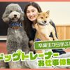 ＴＣＡ東京ＥＣＯ動物海洋専門学校 ドッグトレーナーお仕事体験！
