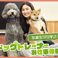 ＴＣＡ東京ＥＣＯ動物海洋専門学校 ドッグトレーナーお仕事体験！
