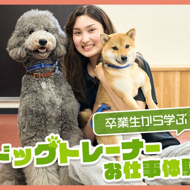 ＴＣＡ東京ＥＣＯ動物海洋専門学校 ドッグトレーナーお仕事体験！1