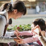 詳細を見る