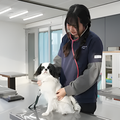 専門学校　福岡ビジョナリーアーツ 【看護】いろんな動物の看護をしてみよう！