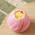 東京製菓学校 5月のスペシャル体験DAY！【和菓子コース】