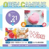 ハートのマカロン＆シュガーデコール体験：飴細工＆マジパン体験の詳細