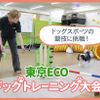 ＴＣＡ東京ＥＣＯ動物海洋専門学校 ドッグスポーツの競技に挑戦！東京ECOドッグトレーニング大会