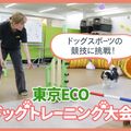 ＴＣＡ東京ＥＣＯ動物海洋専門学校 ドッグスポーツの競技に挑戦！東京ECOドッグトレーニング大会