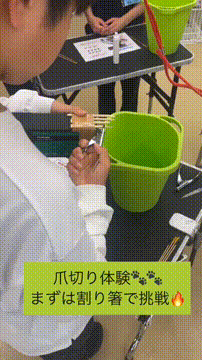 OCカメラサムネイル画像