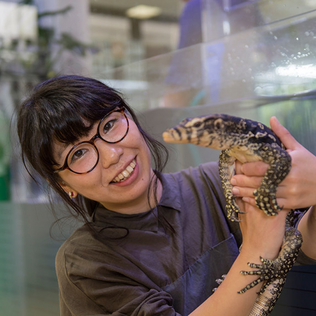東京コミュニケーションアート専門学校 爬虫類まるわかり特別講座1