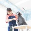 新潟ペット動物専門学校 ワンちゃんをもっと可愛くしよう！トリマー体験