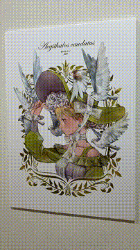 OCカメラサムネイル画像