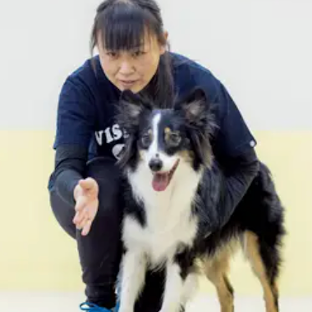 専門学校ビジョナリーアーツ 警察犬訓練士のお仕事体験1