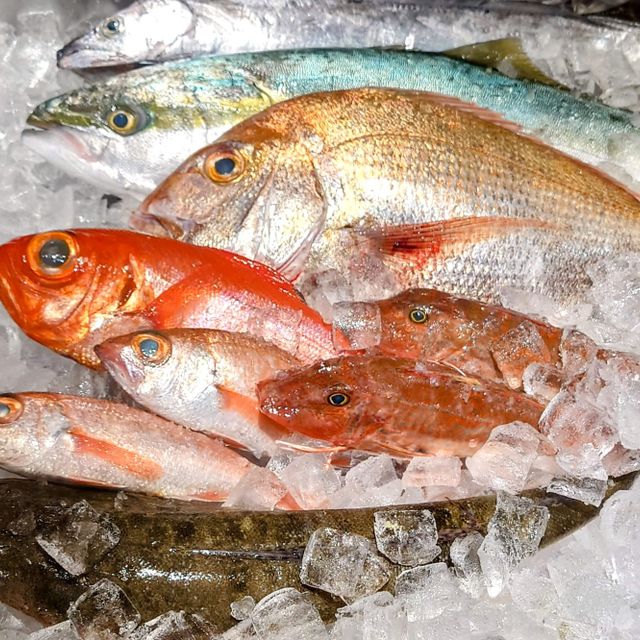 東京環境工科専門学校 『お弁当で豊かな生物多様性！？』体験授業を同時開催！3