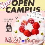 【洋菓子】イチゴのショートケーキの詳細