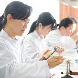 【高校1・2年生】歯科技工士学科☆実習体験会で特別な体験を！の詳細