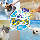 【ペット】Va 夏祭り！-ペット編-の詳細