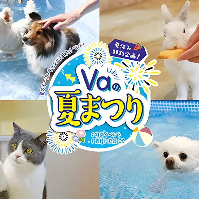 専門学校　福岡ビジョナリーアーツ 【ペット】Va 夏祭り！-ペット編-1