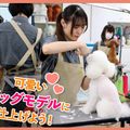 ＴＣＡ東京ＥＣＯ動物海洋専門学校 可愛いドッグモデルに仕上げよう！