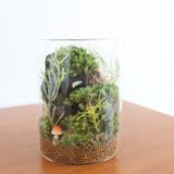グリーンデザイン実習★苔テラリウムを作ろう！の詳細