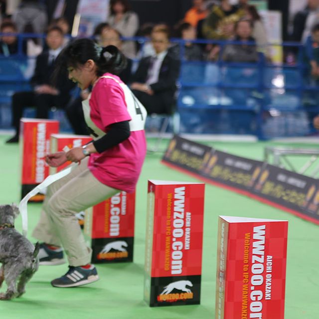 愛知ペット専門学校 わんにゃんドームで個別相談会2