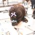 長岡クレアビューティ専門学校 【午後満席！】スタイル制作体験★（全学年対象）1