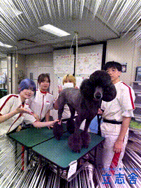 OCカメラサムネイル画像