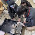 専門学校　ちば愛犬動物フラワー学園 【動物飼育】憧れの職業！総勢350匹の動物たちと飼育員体験☆