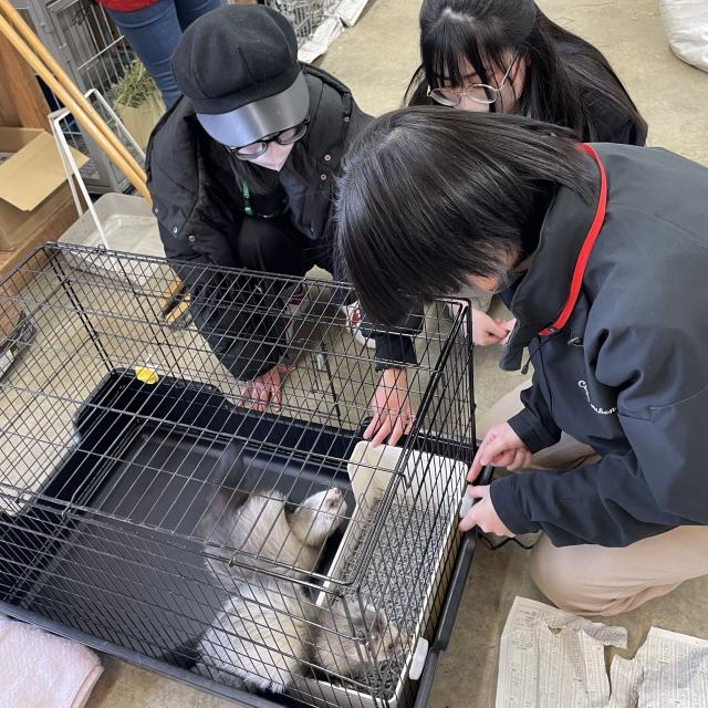 専門学校　ちば愛犬動物フラワー学園 【動物飼育】憧れの職業！総勢350匹の動物たちと飼育員体験☆1