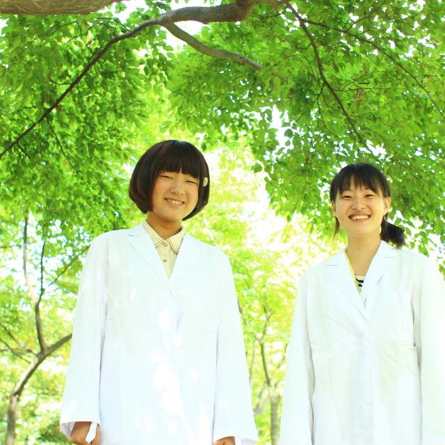 日本自然環境専門学校 【樹木医】を目指すなら!1