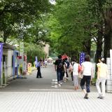 白梅オープンキャンパス2019 (高校2年生以下対象)の詳細
