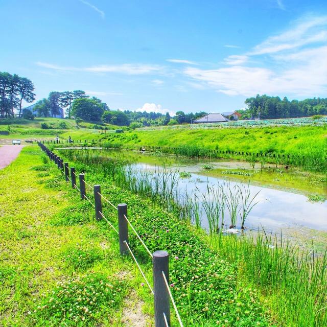 東京環境工科専門学校 ◆自然・野生動物を守る　マナビ　と　ミライ！！◆2