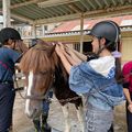 専門学校　ちば愛犬動物フラワー学園 【ホースプロ】大きなカラダを丸洗い！馬のシャンプー体験