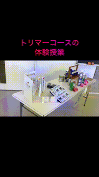 OCカメラサムネイル画像