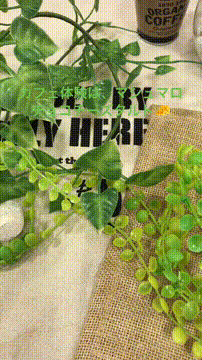 OCカメラサムネイル画像