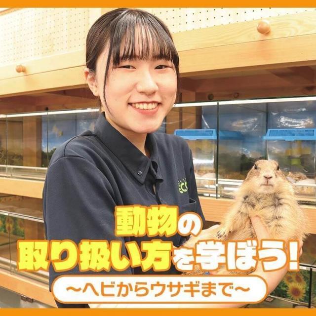 ＴＣＡ東京ＥＣＯ動物海洋専門学校 動物の取り扱い方法を学ぼう！～ヘビからウサギまで～1