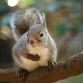 東京環境工科専門学校 『森に残された、動物たちの記憶』特別授業を同時開催！