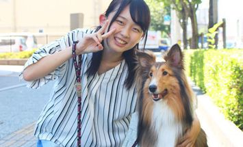 河原アイペットワールド専門学校のブログインフォ一覧 15 スタディサプリ 進路