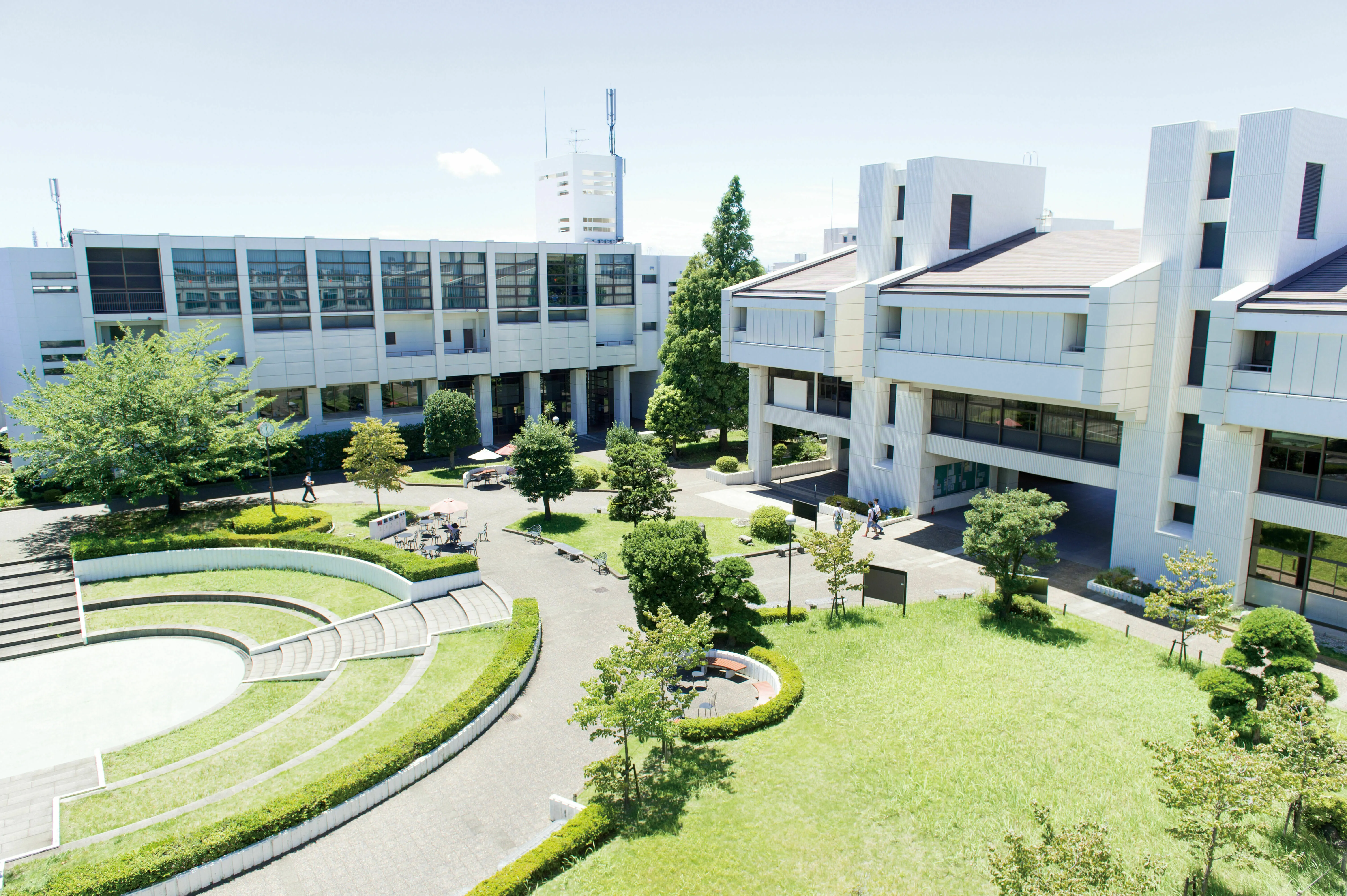 公の場での発言・インタビュー報道記録
