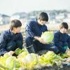 テクノ・ホルティ園芸専門学校 野菜づくり実習★白菜、春菊の収穫にチャレンジ！etc.