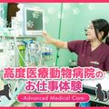 ＴＣＡ東京ＥＣＯ動物海洋専門学校 高度医療動物病院のお仕事体験