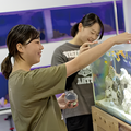 専門学校　福岡ビジョナリーアーツ 【ペット】水族館飼育員さんとえさやり体験