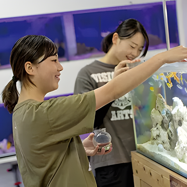 専門学校　福岡ビジョナリーアーツ 【ペット】水族館飼育員さんとえさやり体験1