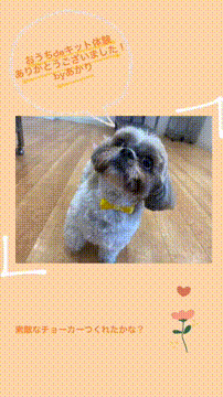 OCカメラサムネイル画像