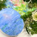 創形美術学校 「油彩画」